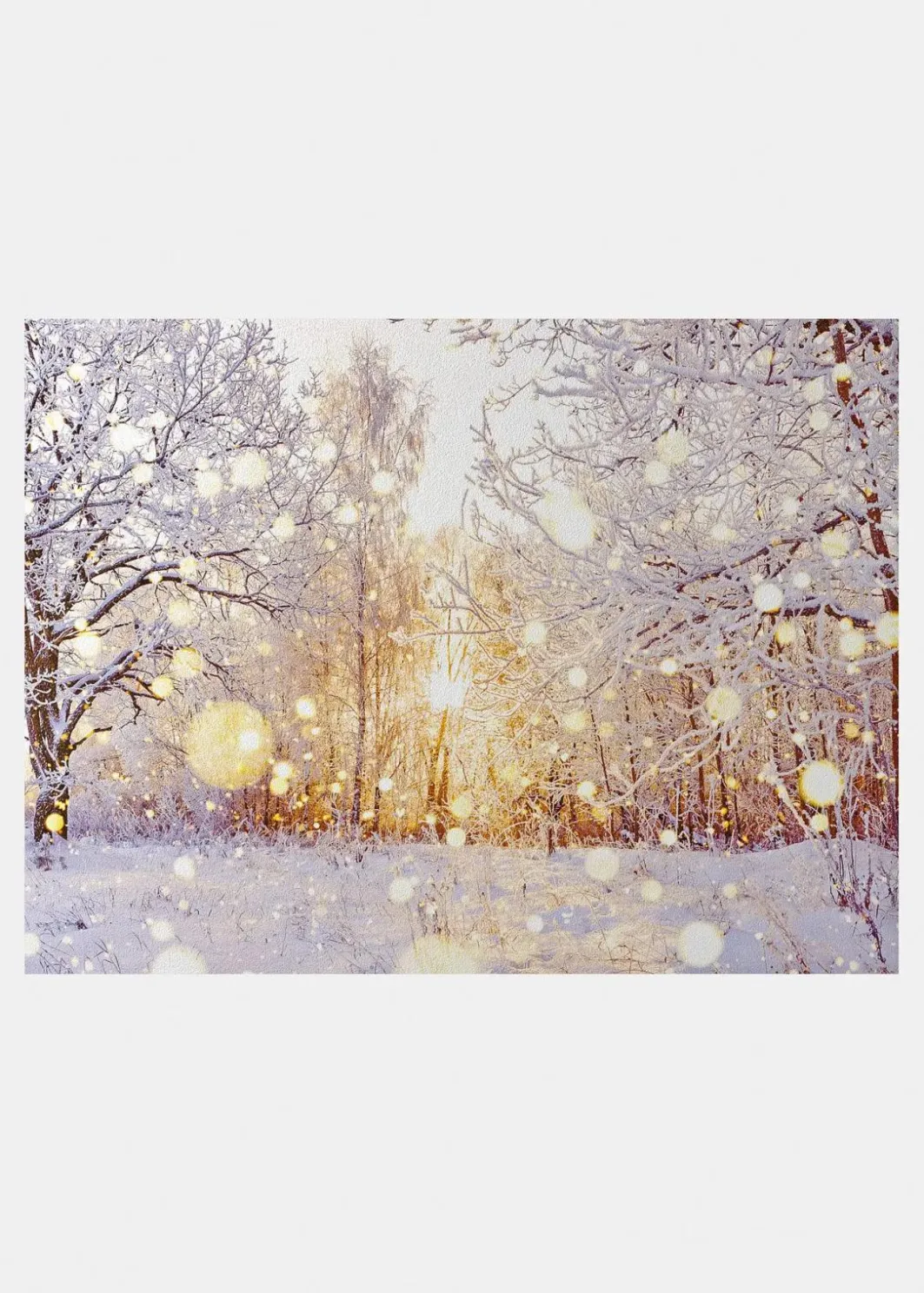bonprix Fußmatten|Fußmatten|Fußmatte mit winterlicher Landschaft