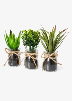 bonprix Sehr Beliebt|Wohnaccessoires|Kunstpflanze Sukkulenten im Glas, 3-tlg. Set