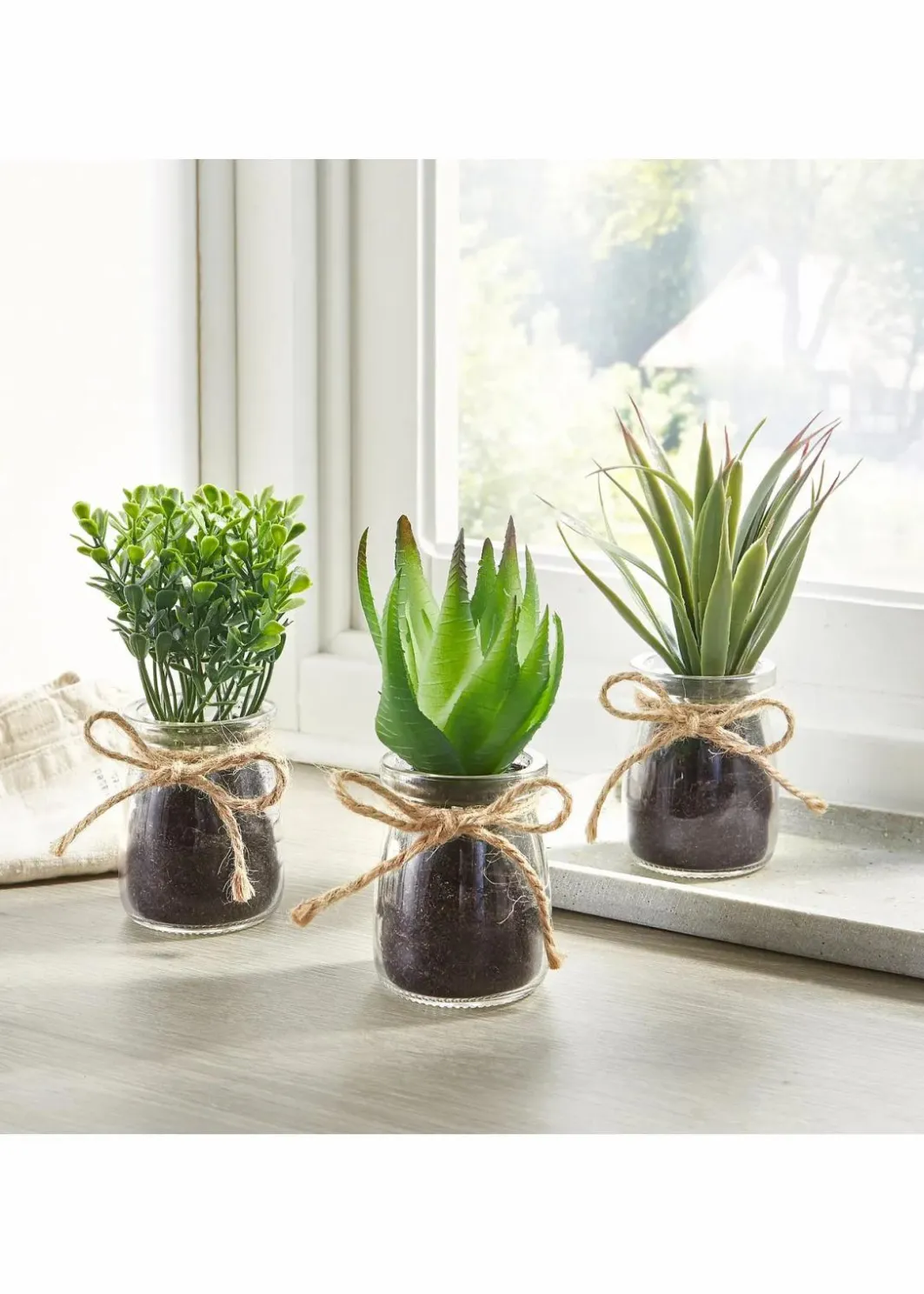 bonprix Sehr Beliebt|Wohnaccessoires|Kunstpflanze Sukkulenten im Glas, 3-tlg. Set