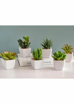 bonprix Wohnaccessoires|Kunstpflanzen in Sukkulenten-Design (6-tlg.Set)