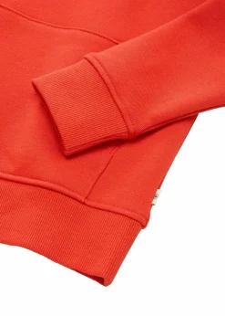 Kinder Tom Tailor Jungen 2-8 Jahre·Nachhaltigere Materialien|Jungen 2-8 Jahre·Sweat & Strick|Hoodie